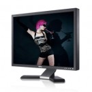 Flat-Panel LCD Monitor